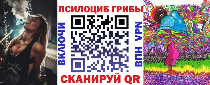 хочу наркоту  darknet Telegram  Псилоцибиновые грибы мицелий  Козловка 